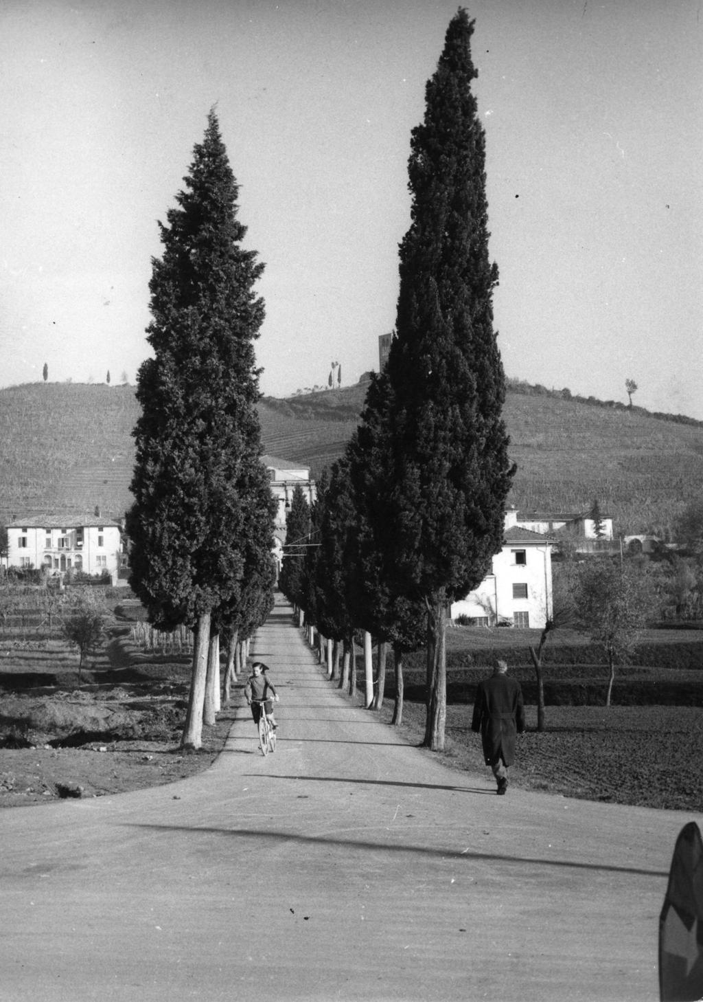 Viale Alberato Sotto Il Monte · Historify