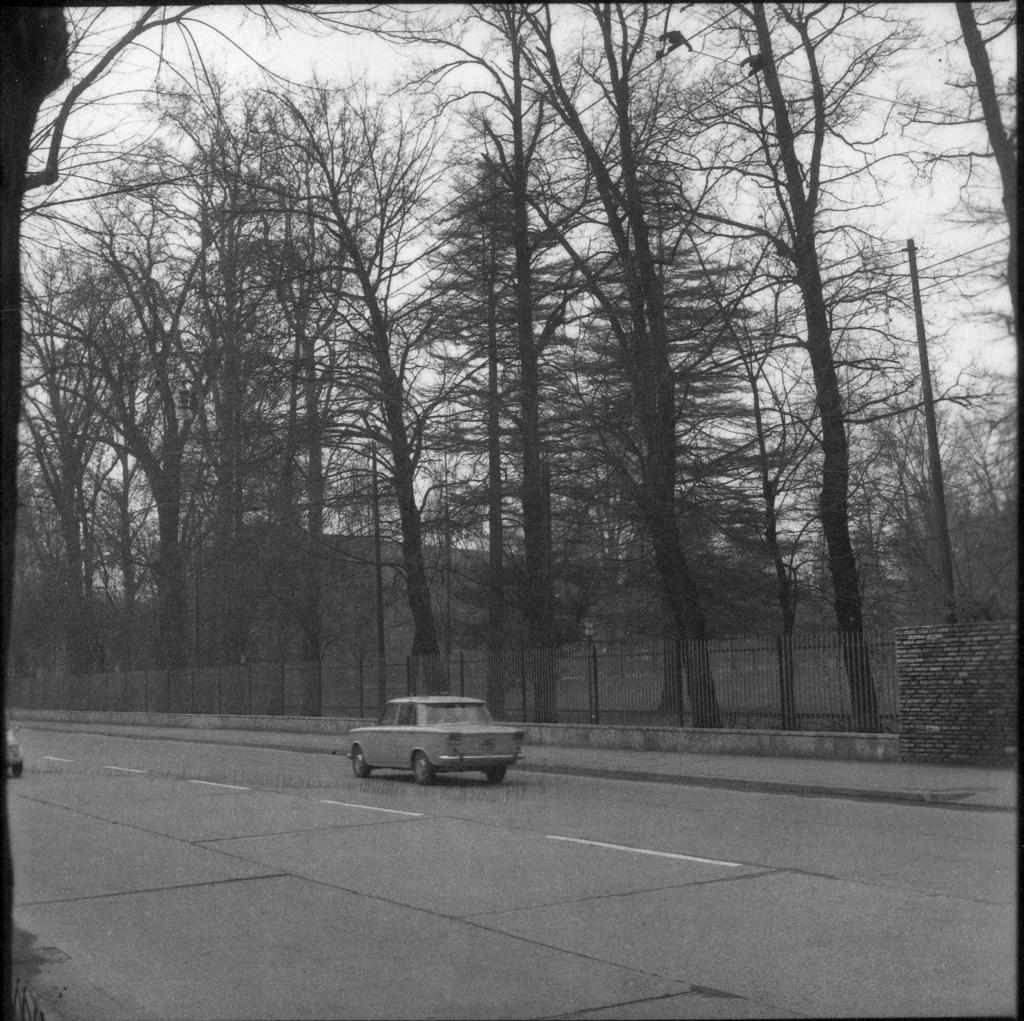 Sfrecciando davanti al Parco Suardi · Historify