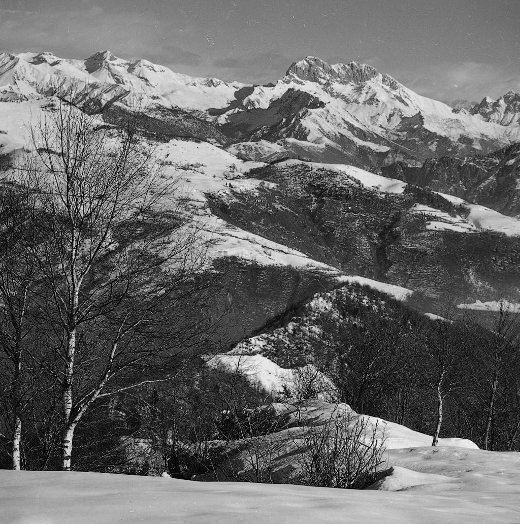 Albero, Montagne · Historify