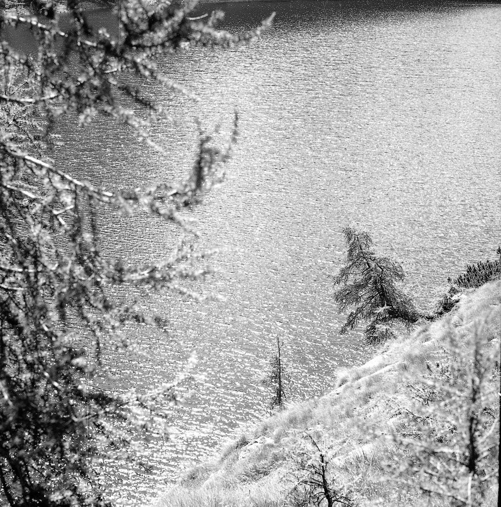 Lago increspato · Historify