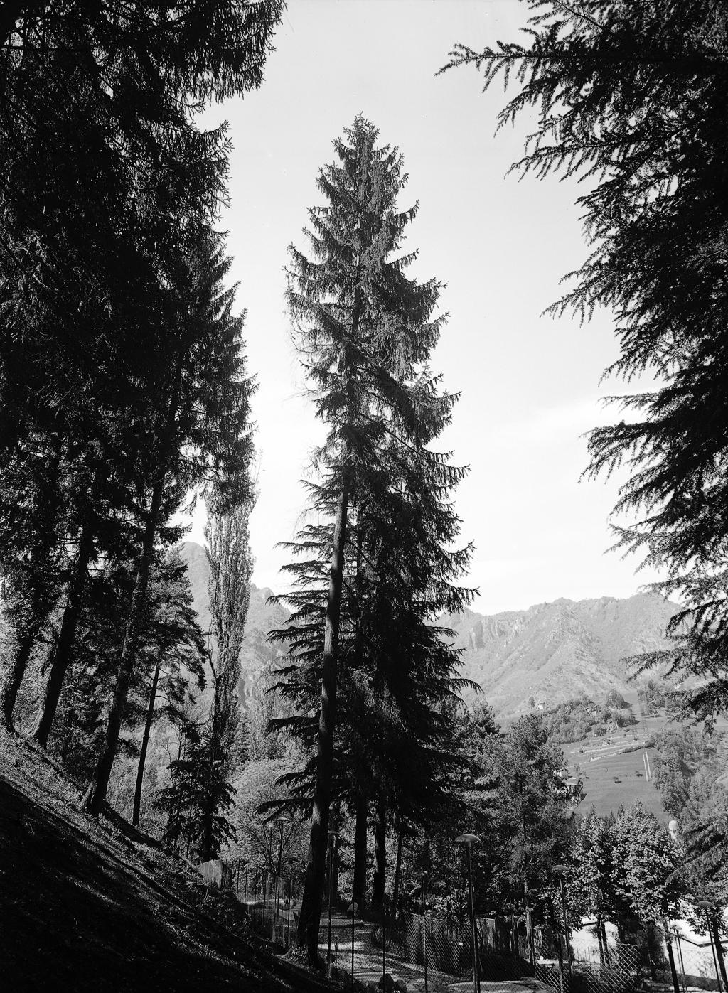 Paesaggio Montano · Historify