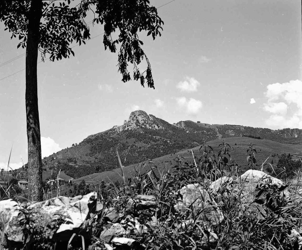 Montagne · Historify