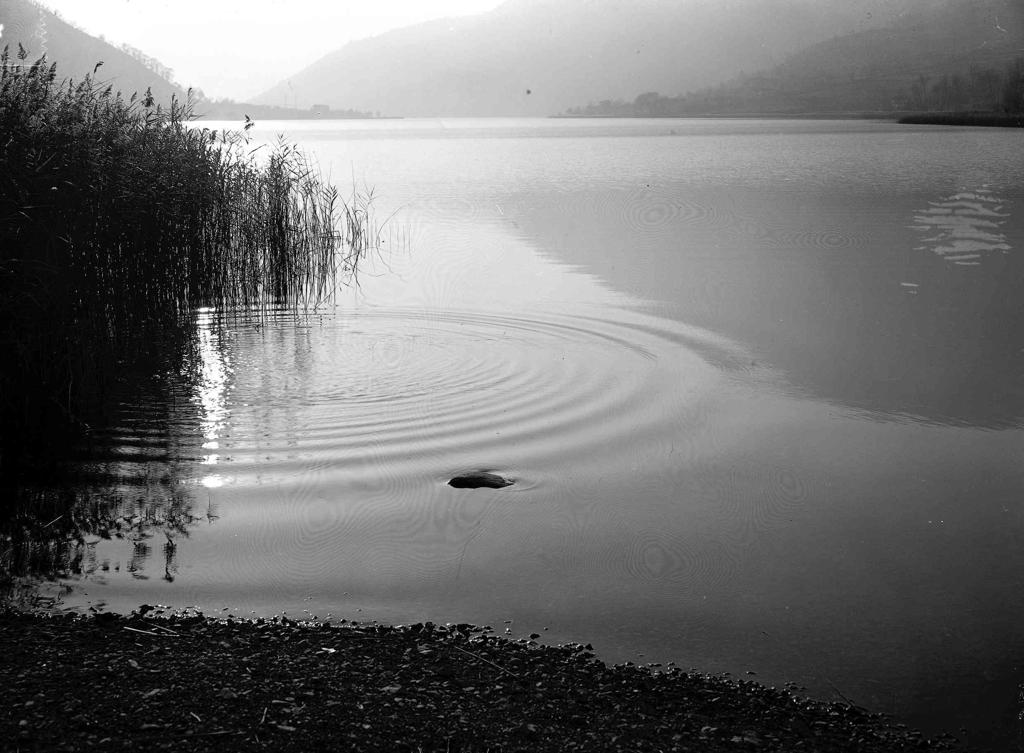 Vista Lago · Historify