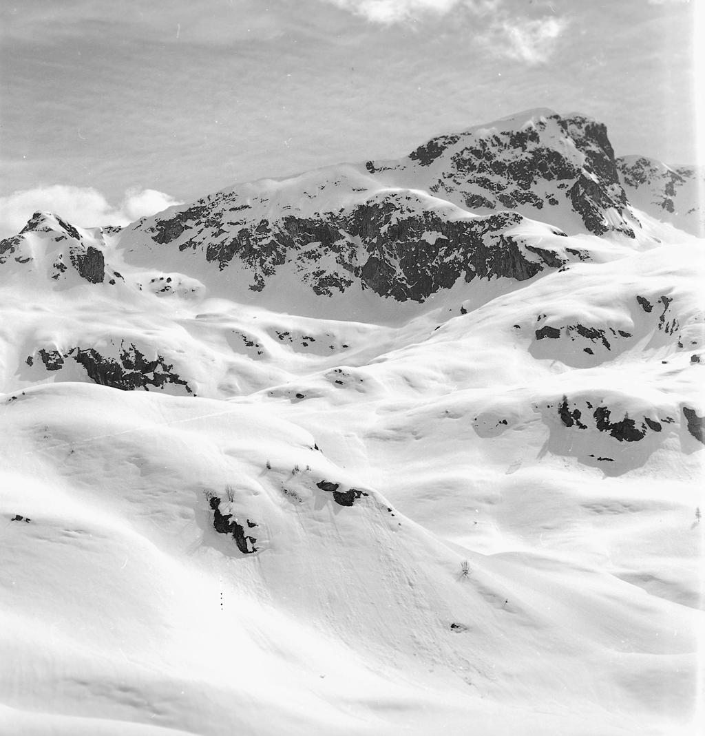 Montagne · Historify