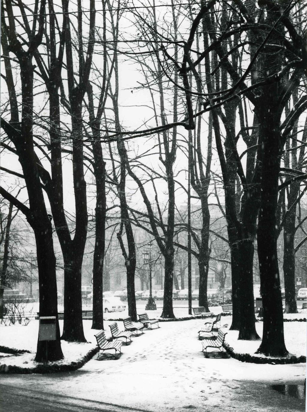 Vialetti Innevati, Bergamo · Historify