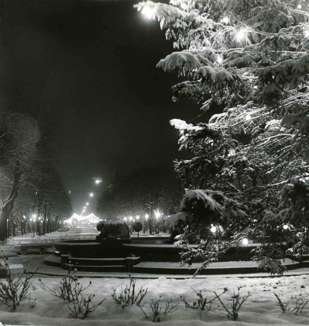 Viale Papa Giovanni Xxiii Coperto Di Neve · Historify