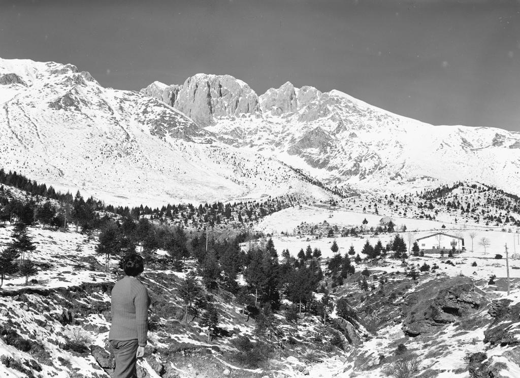Paesaggio Montano · Historify