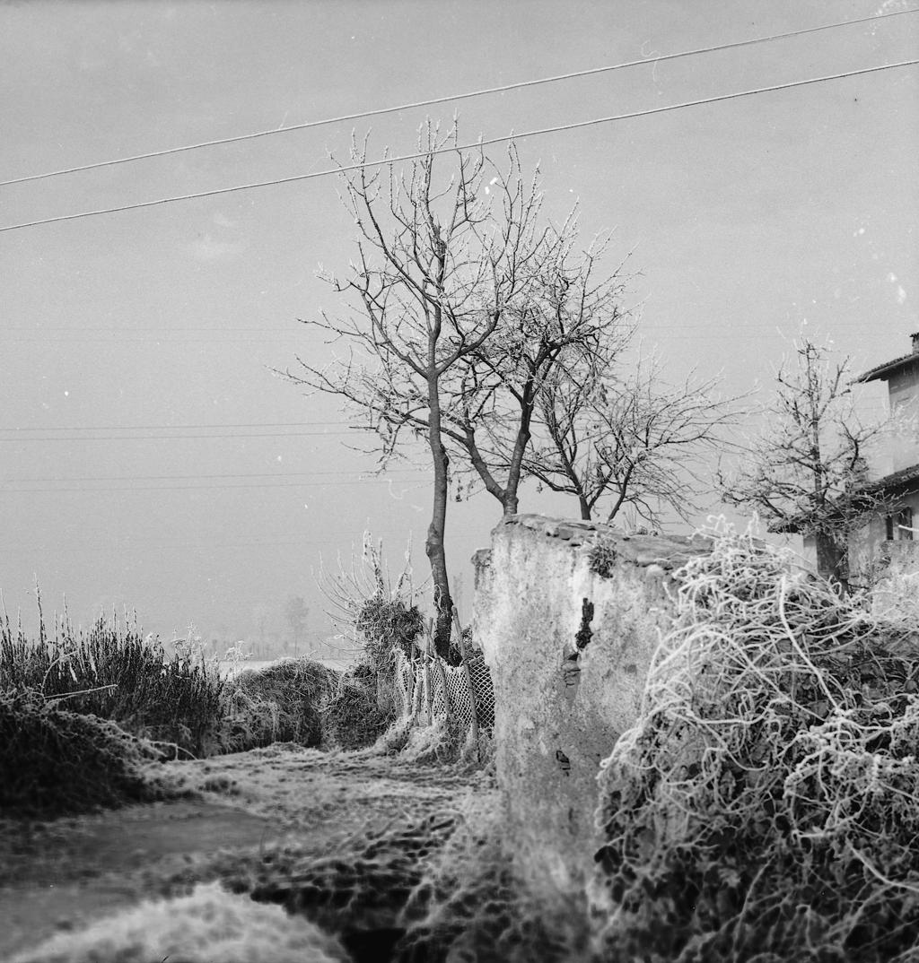 Paesaggio Invernale · Historify