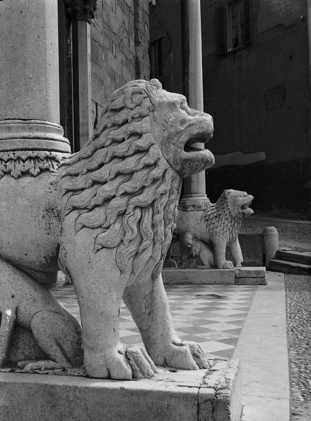 Il leone di Santa Maria Maggiore · Historify