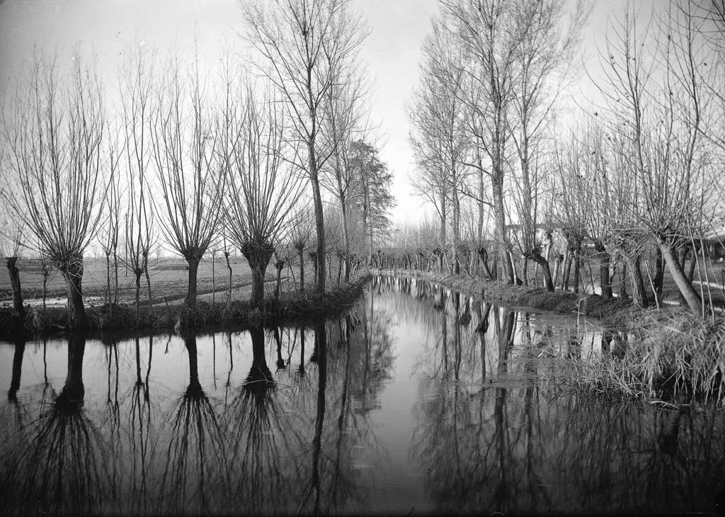 Riflessi nel ruscello · Historify