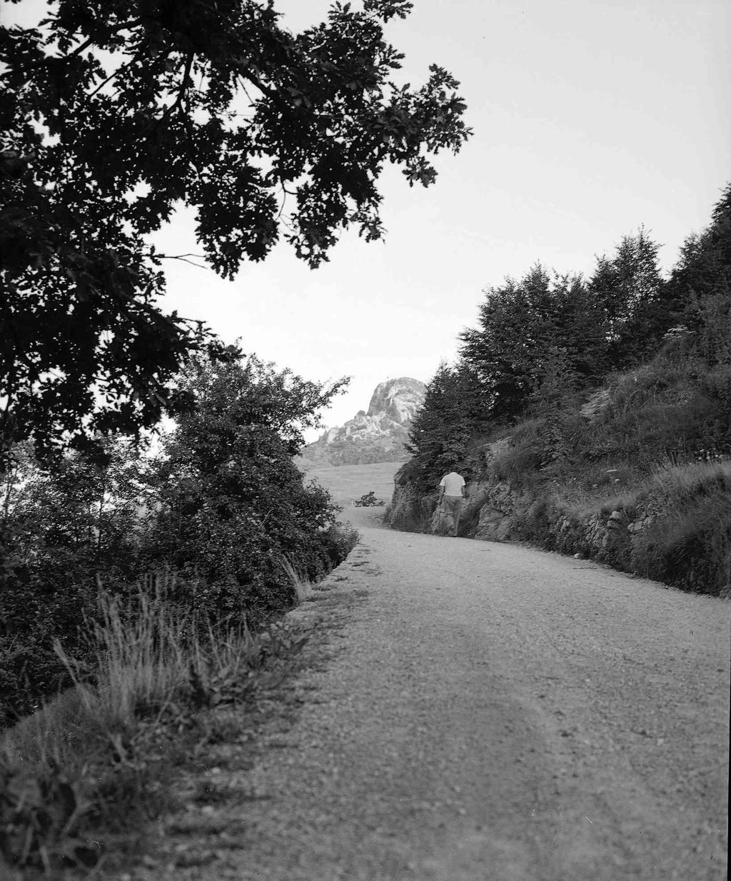 A Passeggio · Historify