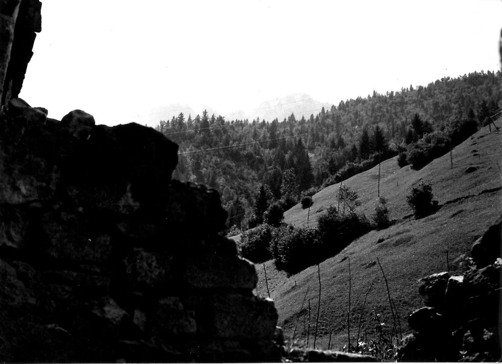 Pendii montani, Valbondione · Historify